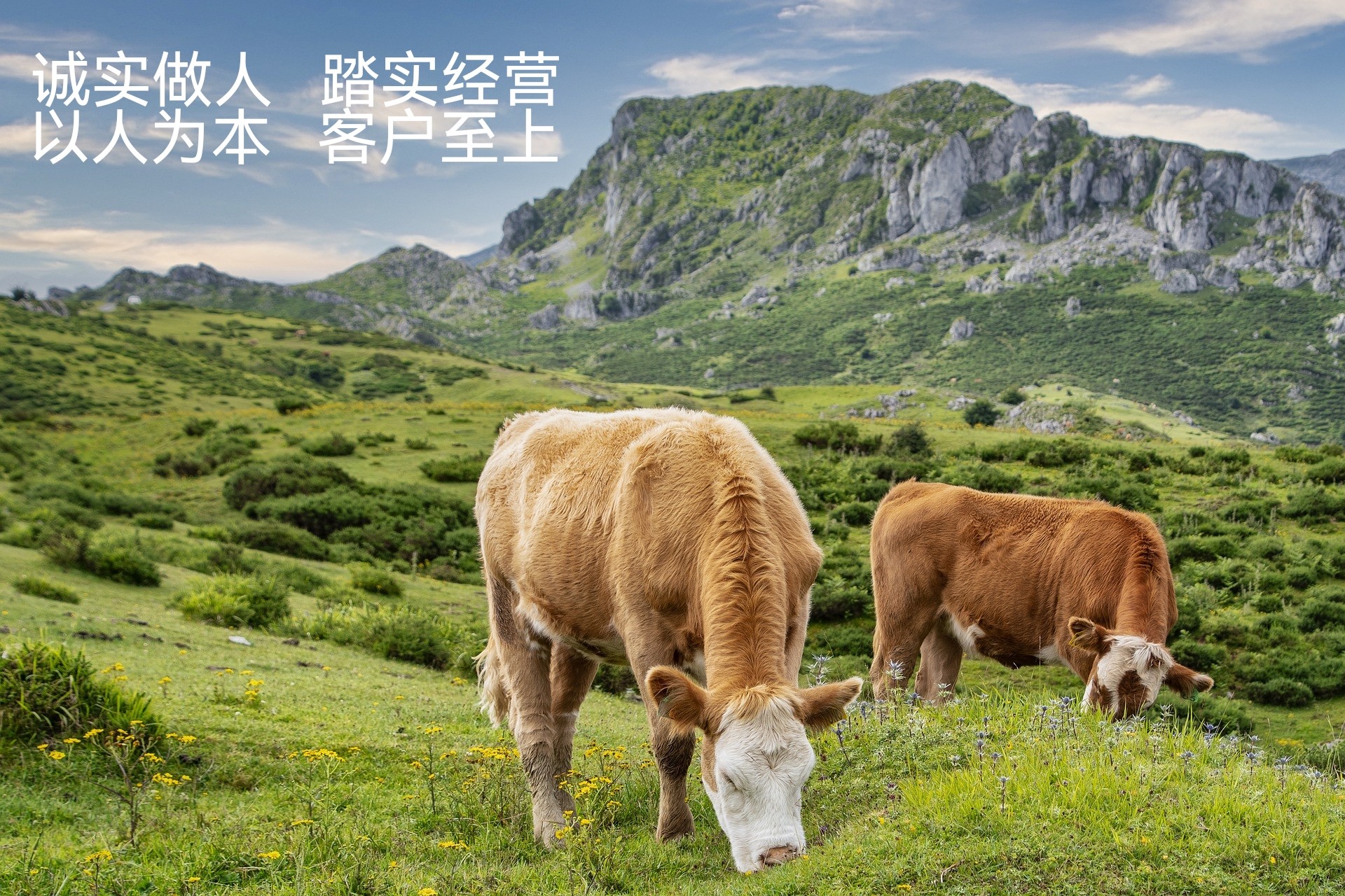 通栏图片